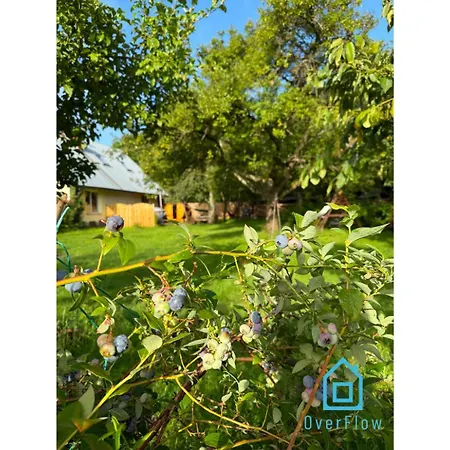 Appartement Nawypasie With Sauna Beautiful Garden Sup Board And Just 30 Minutes From Gdansk And Gdynia Szemud