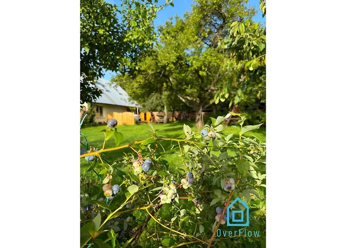 Lägenhet Nawypasie With Sauna Beautiful Garden Sup Board And Just 30 Minutes From Gdansk And Gdynia Szemud