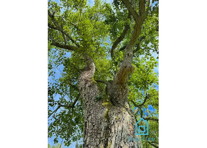 Nawypasie With Sauna Beautiful Garden Sup Board And Just 30 Minutes From Gdansk And Gdynia Szemud